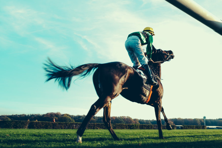 A racehorse and rider