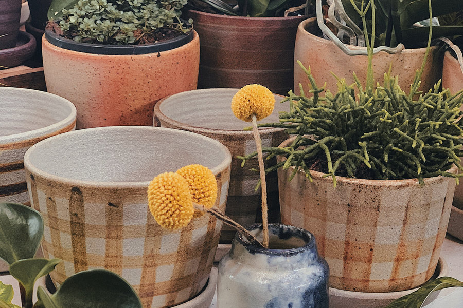Pots at a retail landscaping store