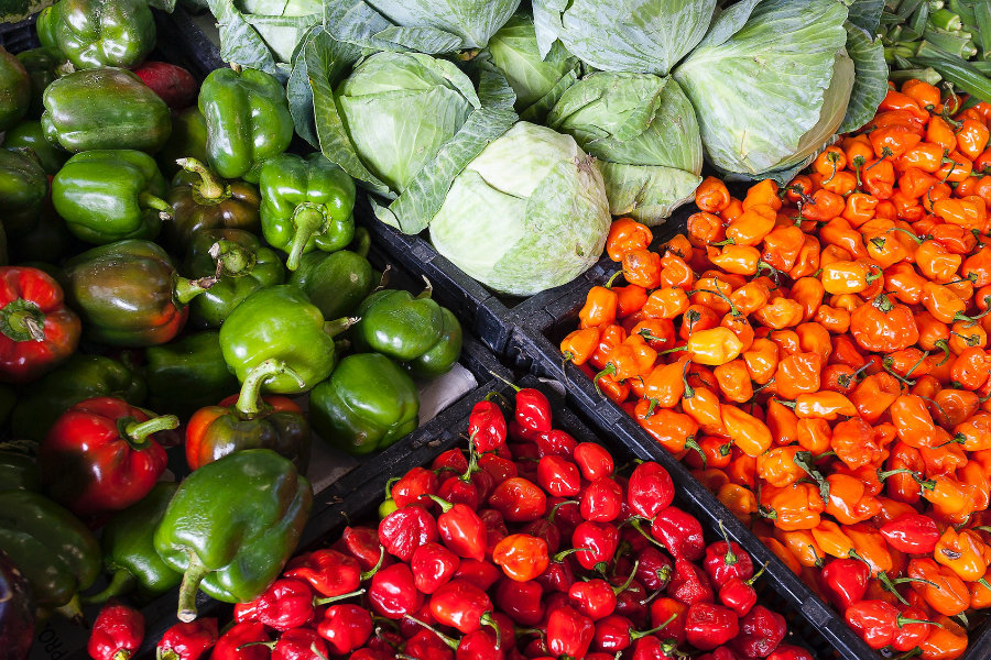 wholesale vegetables ready for sale