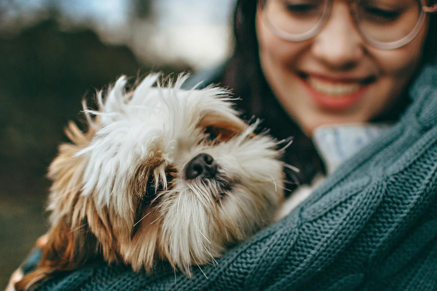 Happy person holding their small dog